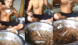 Món ăn kinh dị: Gỏi cá chép con nhảy trên miệng dân nhậu